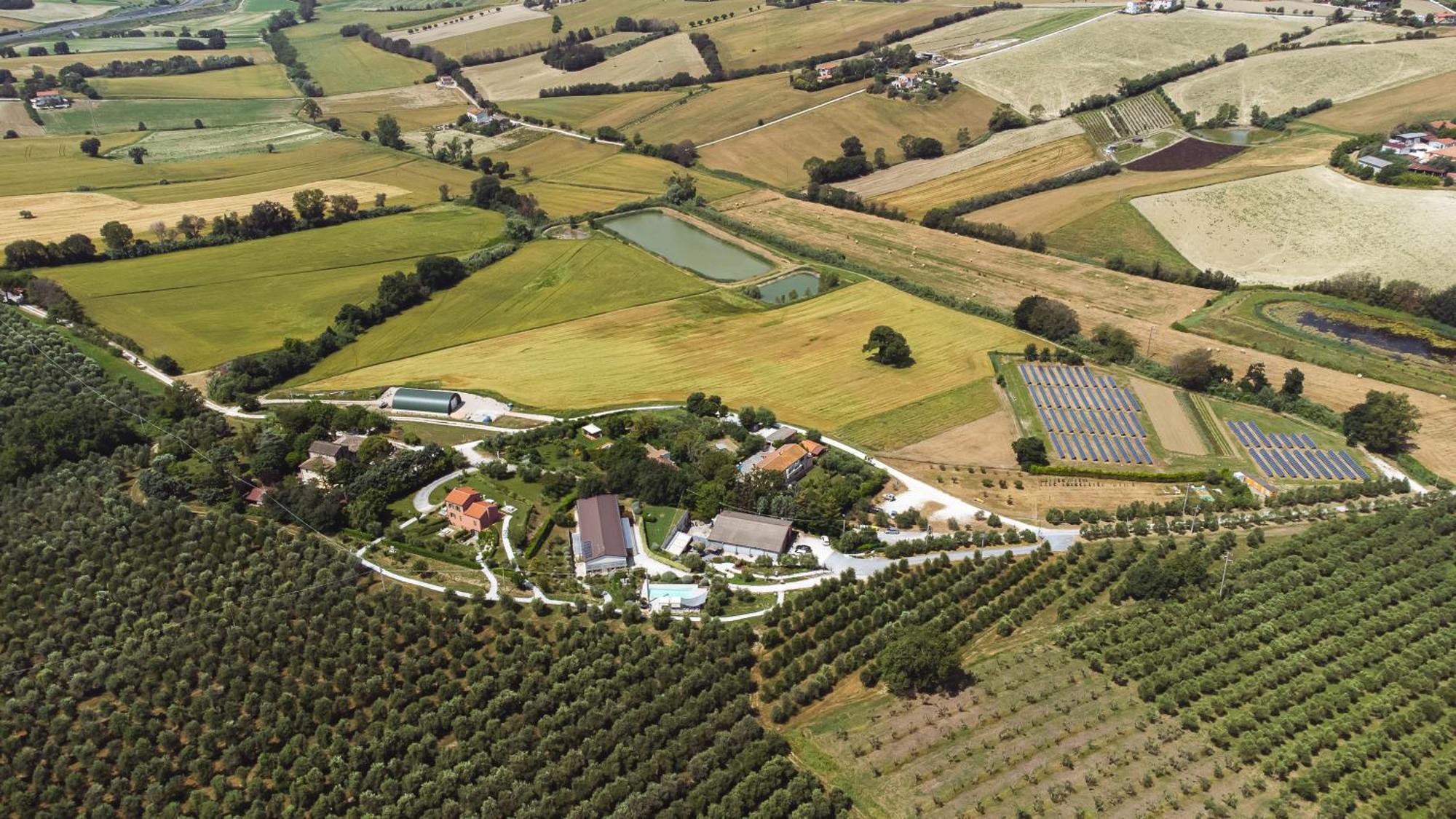 A3Passi Villa Ancona Exteriör bild