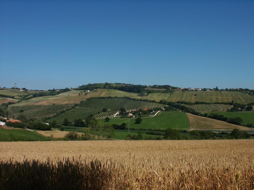 A3Passi Villa Ancona Exteriör bild