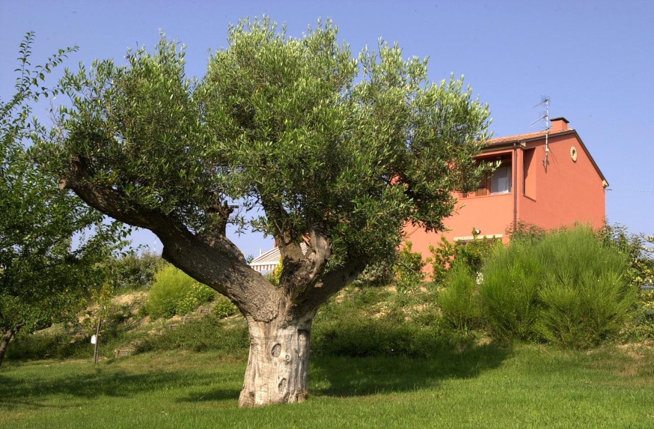 A3Passi Villa Ancona Exteriör bild